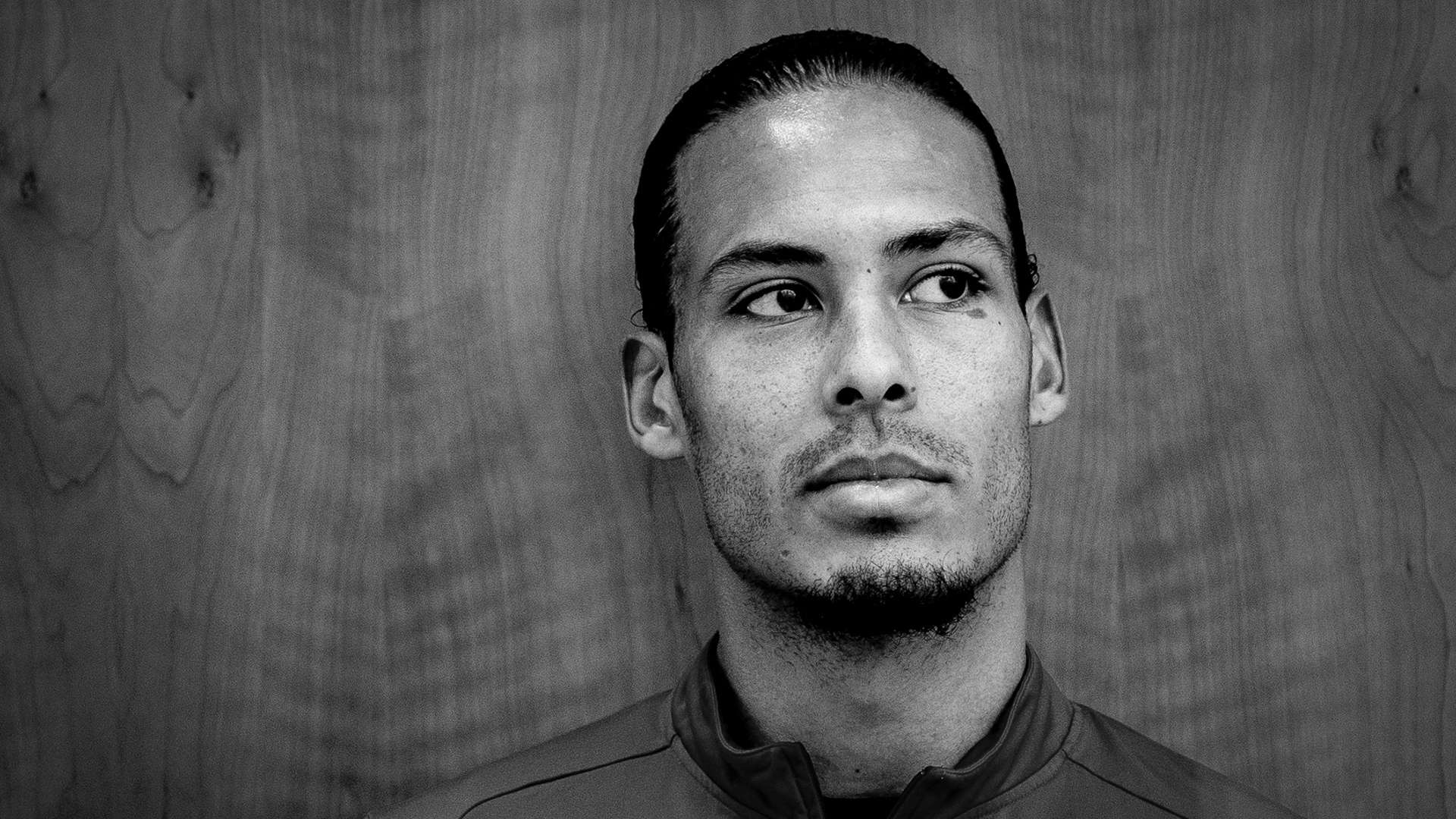 是吸引无数 是吸引无数