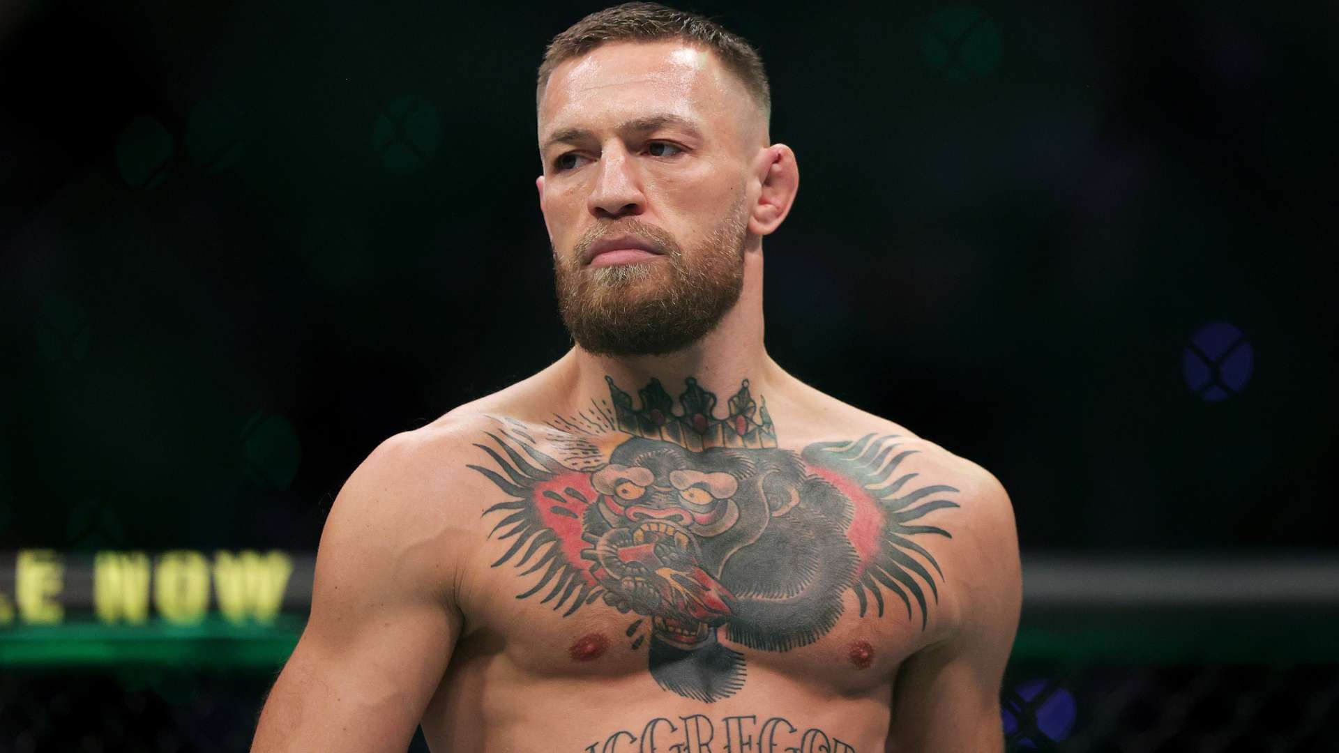 队伍在备战 队伍在备战